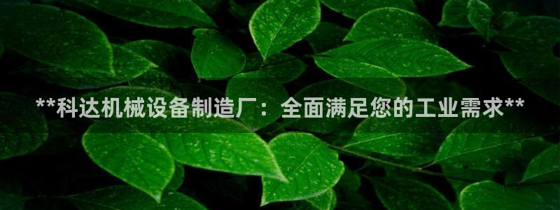ag8九游会登入