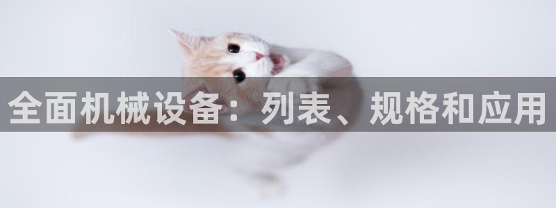 九游会中国入口嘛