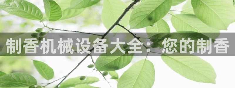 九游会官方app