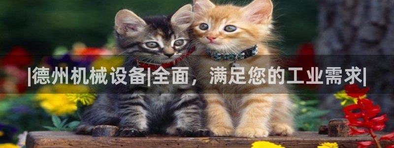 J9九游会首页登录