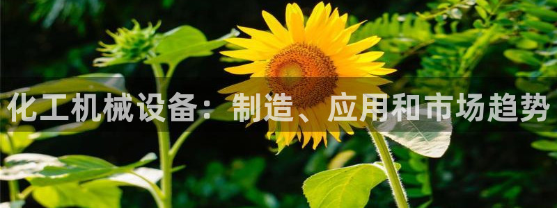 J9九游会老哥俱乐部官方