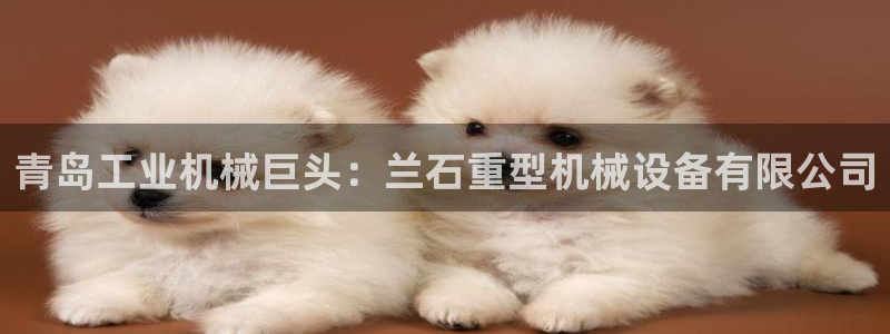九游会老哥俱乐部官方网站