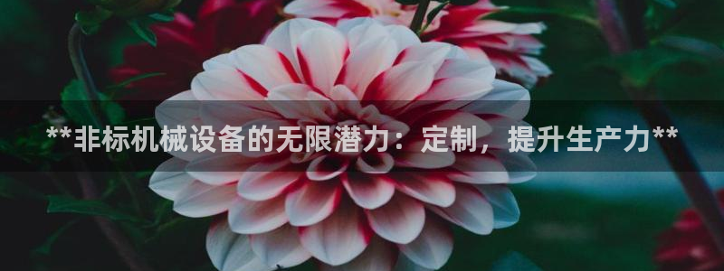 九游会游戏平台