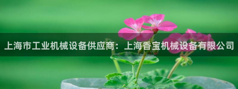 九游会官网真人认证吗知乎
