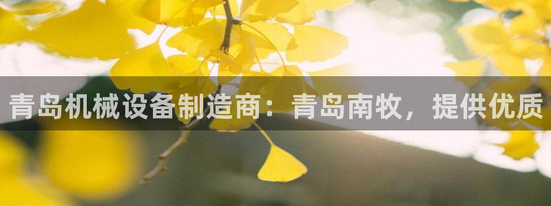 九游会直营