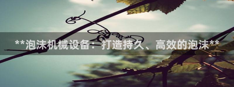 九游会中国入口嘛