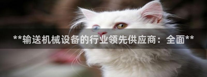 j9九游会买u多少一个