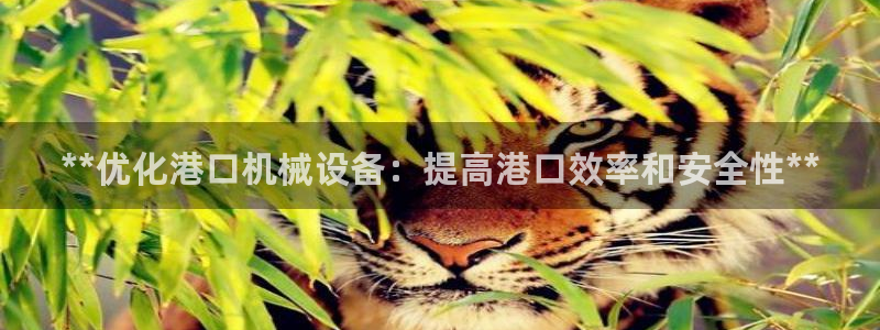 ag九游会集团