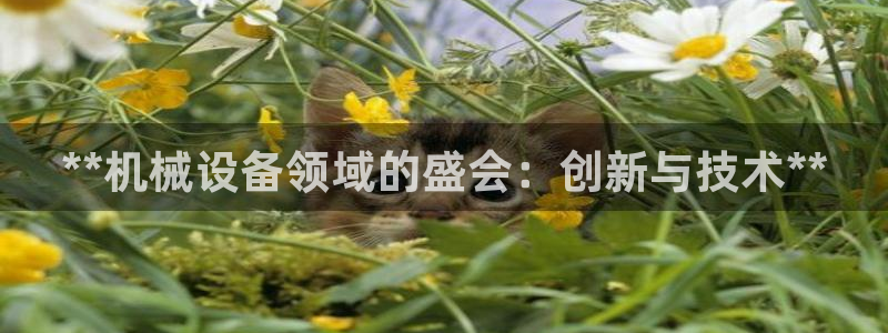 九游会agj9