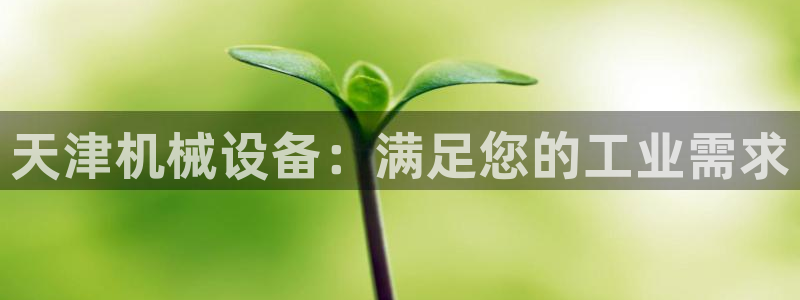 九游会是一个什么网站