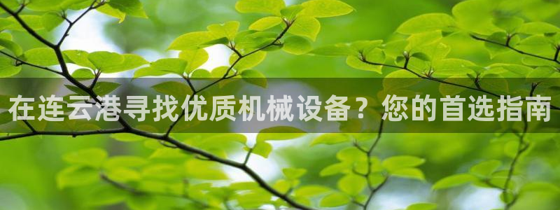 九游会游戏官网网页版