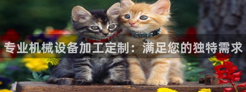 ag九游会