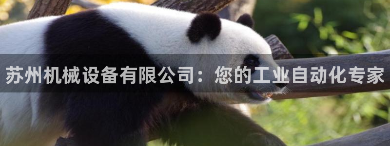 九游j9登陆