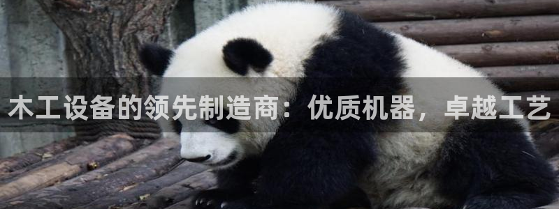 九游会网站网