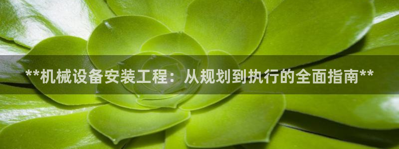 九游会关服吗