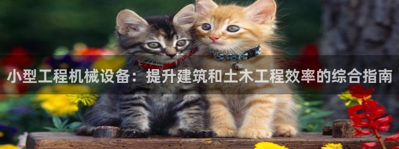 九游会网站网