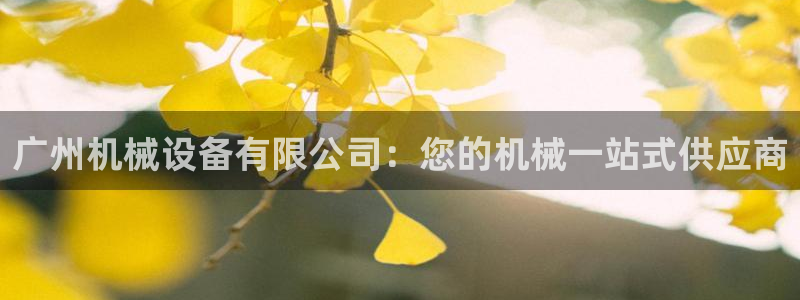 九游会j9官网入口登录新版