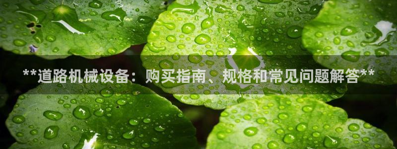 J9九游会老哥