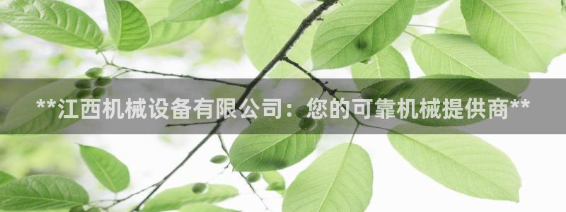 九游会怎么了