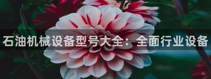 九游会官网下载