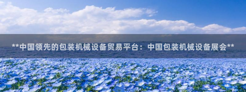 九游会ag入口
