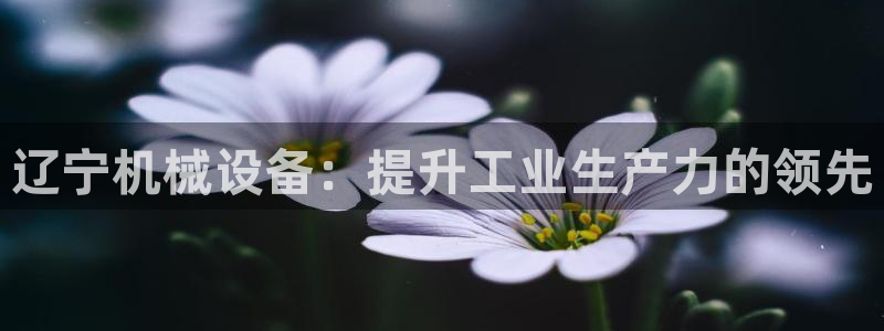 J9九游会俱乐部官方