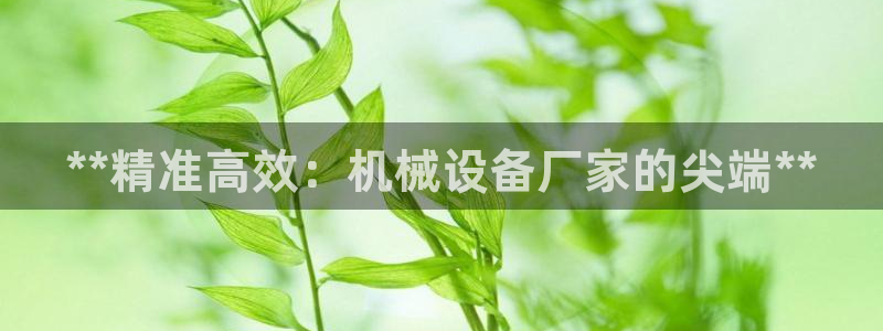 j9九游会备用网址