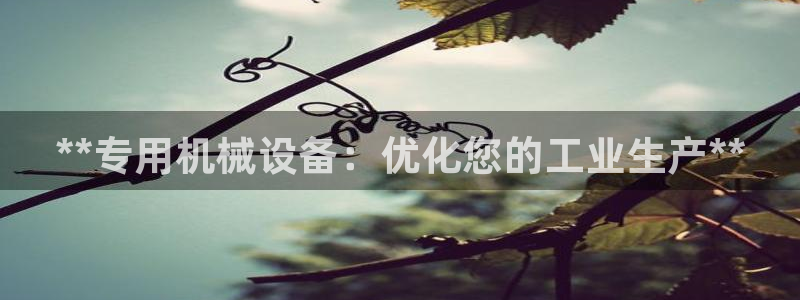 九游会官网进入