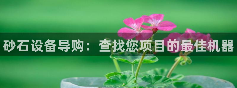 j9九游会老哥俱乐部介绍
