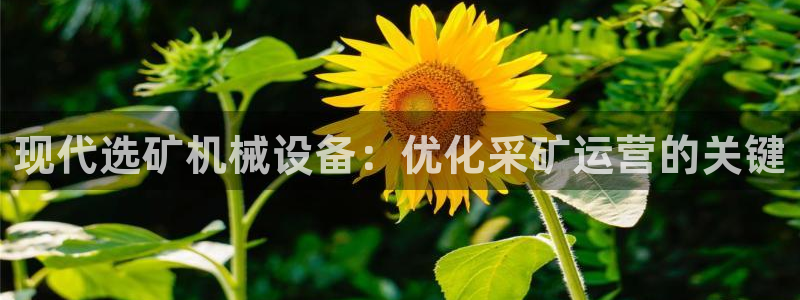 九游官网j9活动介绍