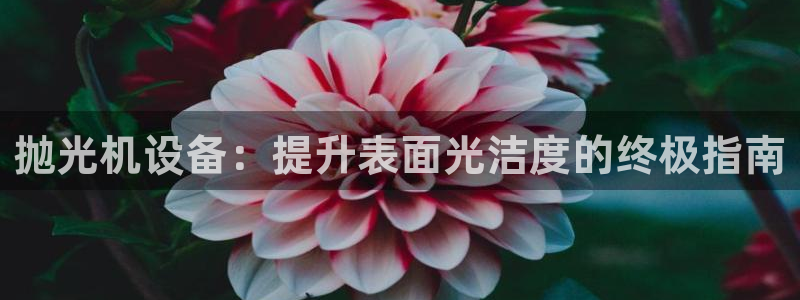 九游会官网网址