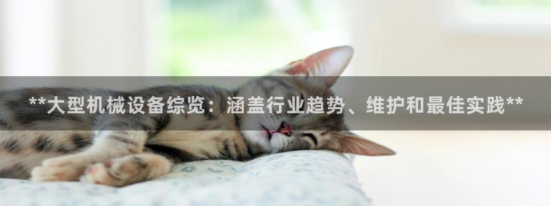 ag九游会微博