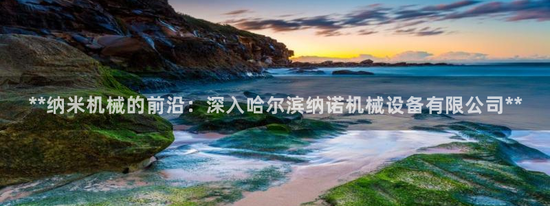 九游会的网址是多少