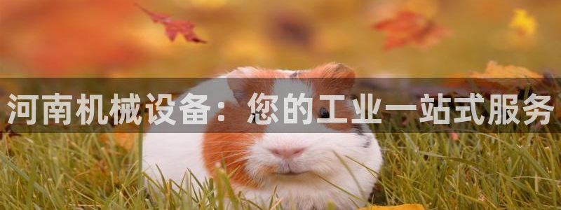九游会游戏平台有哪些