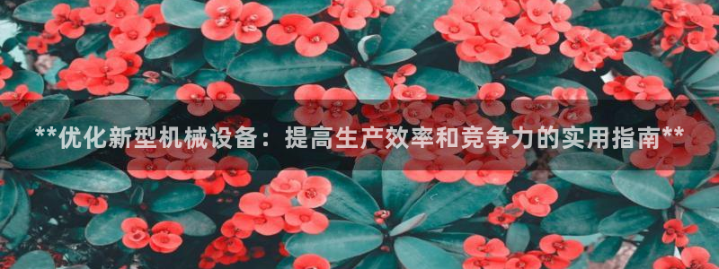 九游会 a g