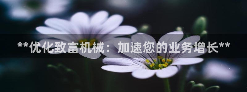九游会中国入口嘛