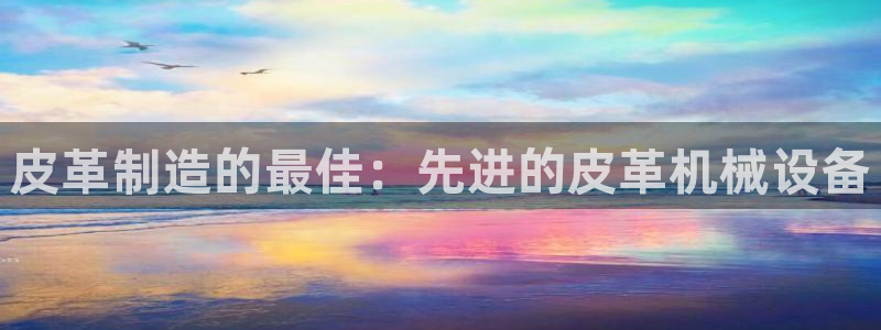 ag老玩家