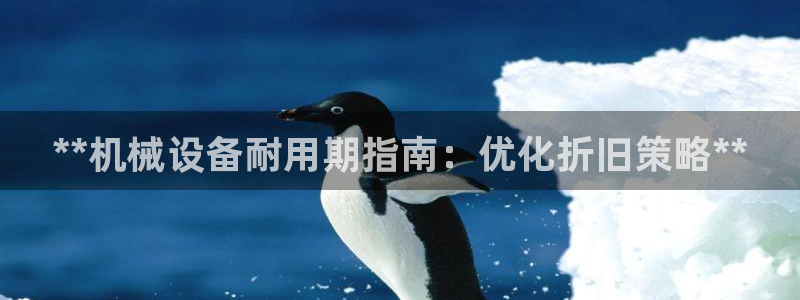 j9九游会网址是什么