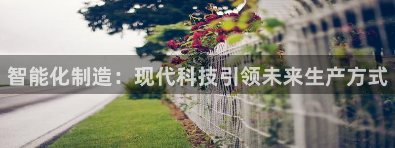 九游会中国入口嘛