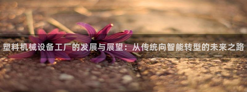 usdt九游会老哥俱乐部