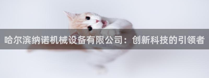 九游会AGapp下载