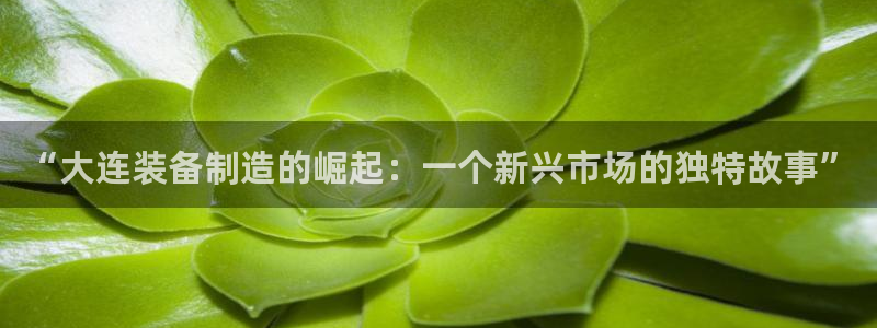 ag变成九游会