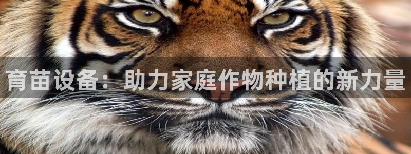 九游会集团国际：育苗