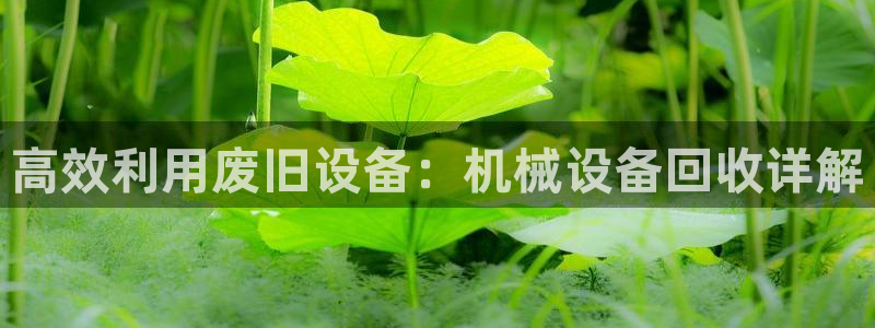 j9官网登录入口：高