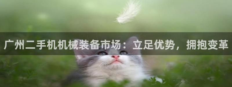 九游老哥俱乐部官方网站