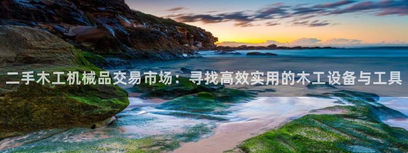 九游会怎么提币：二手