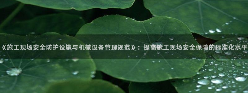 9游会老哥