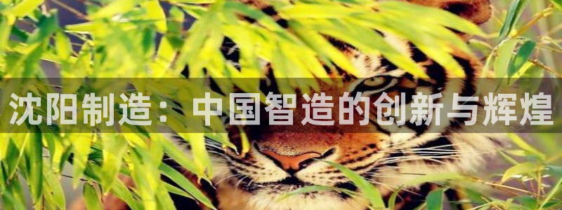 九游会官网网址