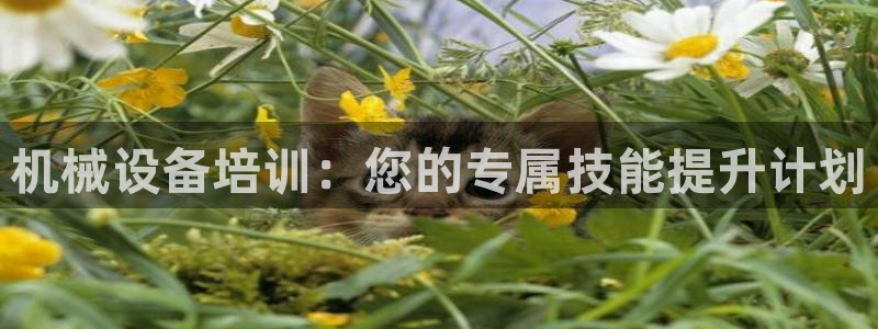 九游会集团新的选择