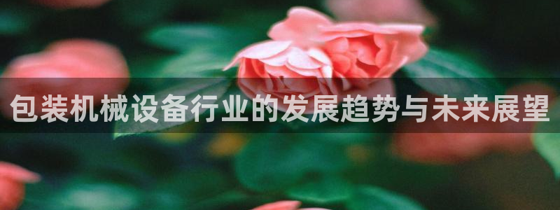 九游会官网app下载